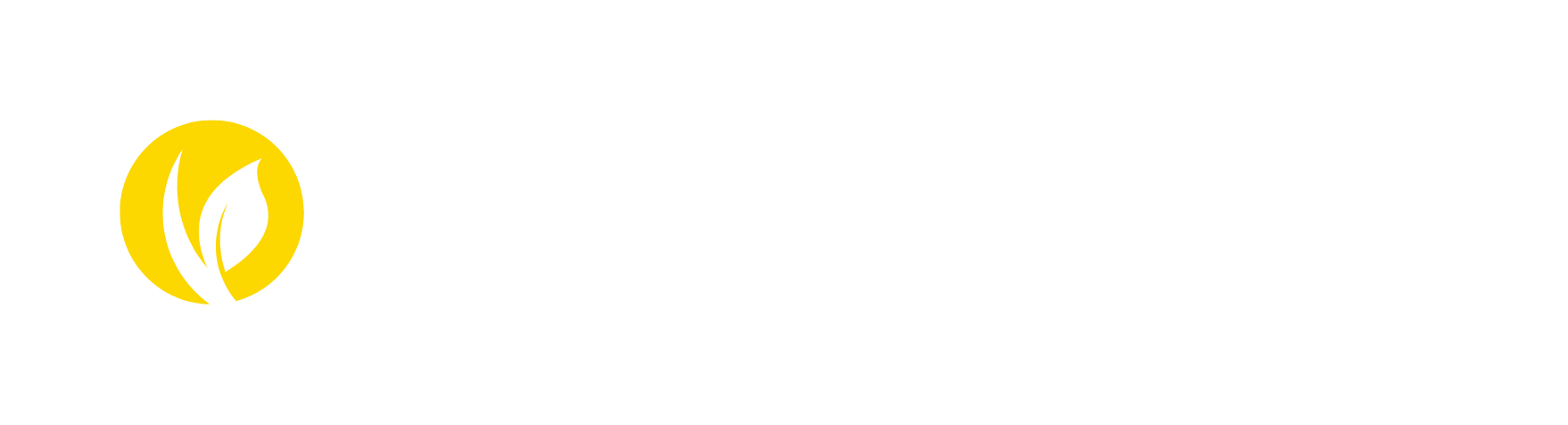 Dünya Catering