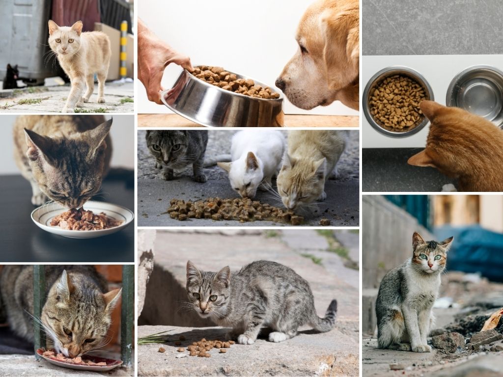 Sıfır atık, büyük fayda